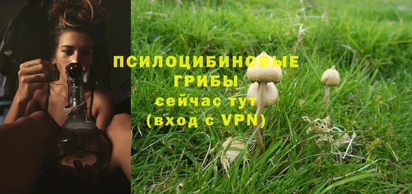 дурь Нефтегорск