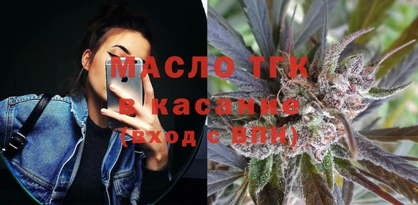гашик Тында