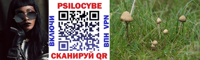 даркнет наркотические препараты  Туапсе  Псилоцибиновые грибы прущие грибы 